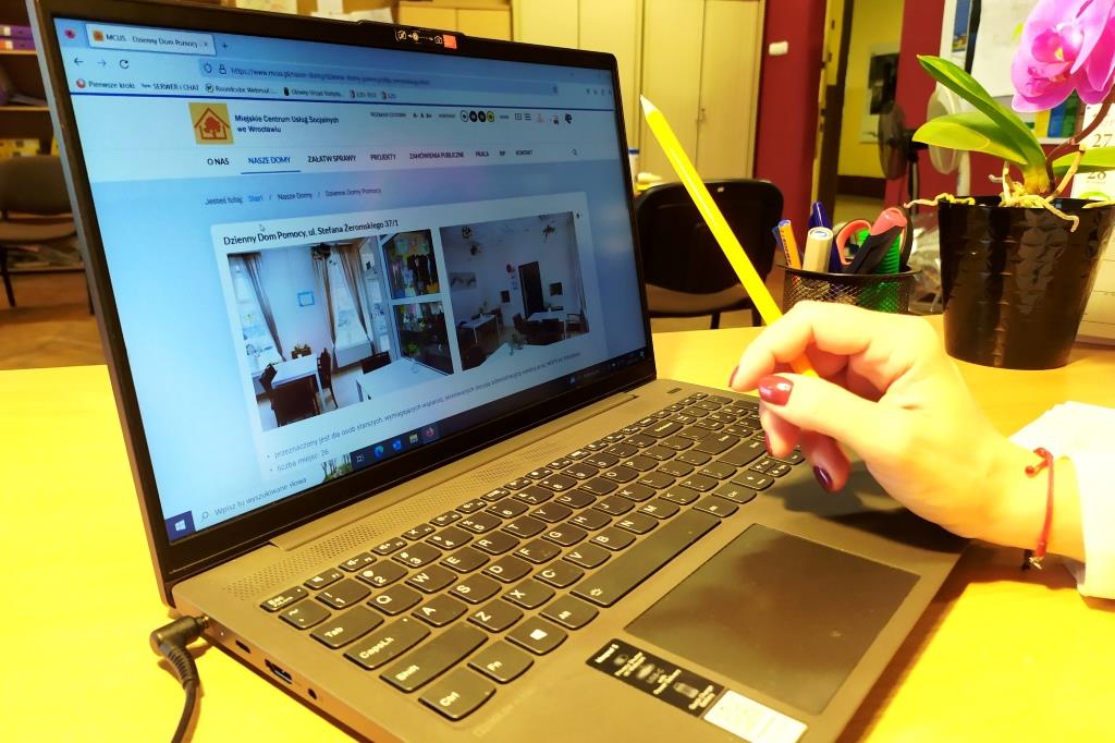 Osoba siedzi przed laptopem. W dłoni ma ołówek, którym wskazuje na ekran monitora. Na drugim planie stoi kwiatek - storczyk.